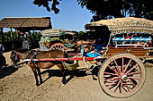 Inwa, Myanmar - tourists ride on a horse-drawn carriage. Riding on a horse cart is the easiest way to get around Inwa's narrow and dusty road to explore scatterred attractions. 